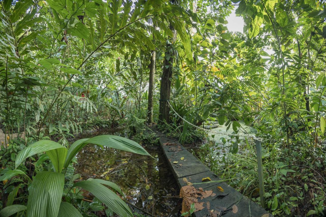 אפרטהוטל La Fortuna Cabanas Del Rio מראה חיצוני תמונה