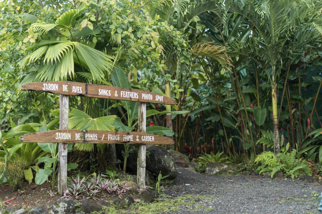 אפרטהוטל La Fortuna Cabanas Del Rio מראה חיצוני תמונה