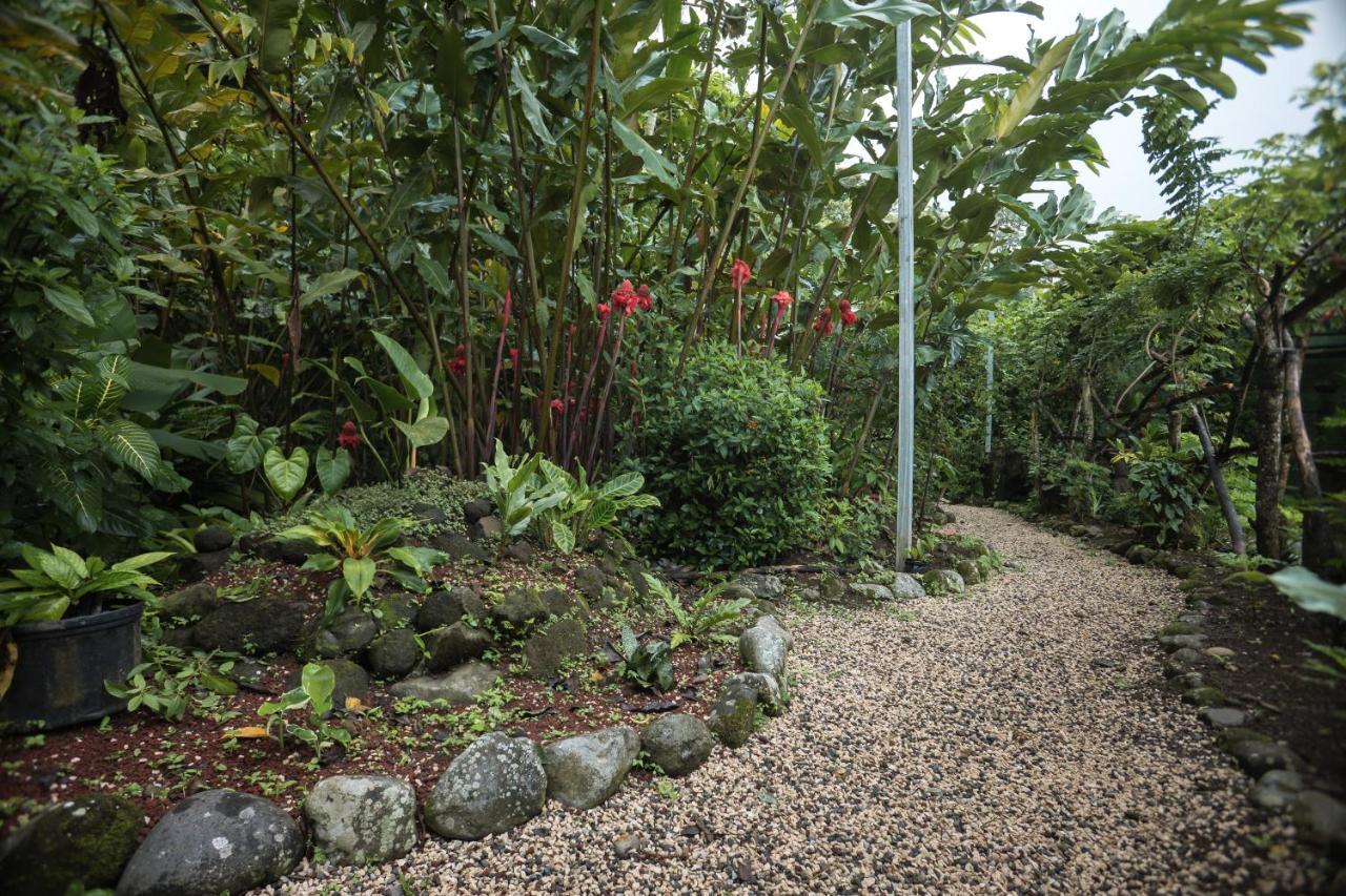 La Fortuna Cabanas Del Rio מראה חיצוני תמונה