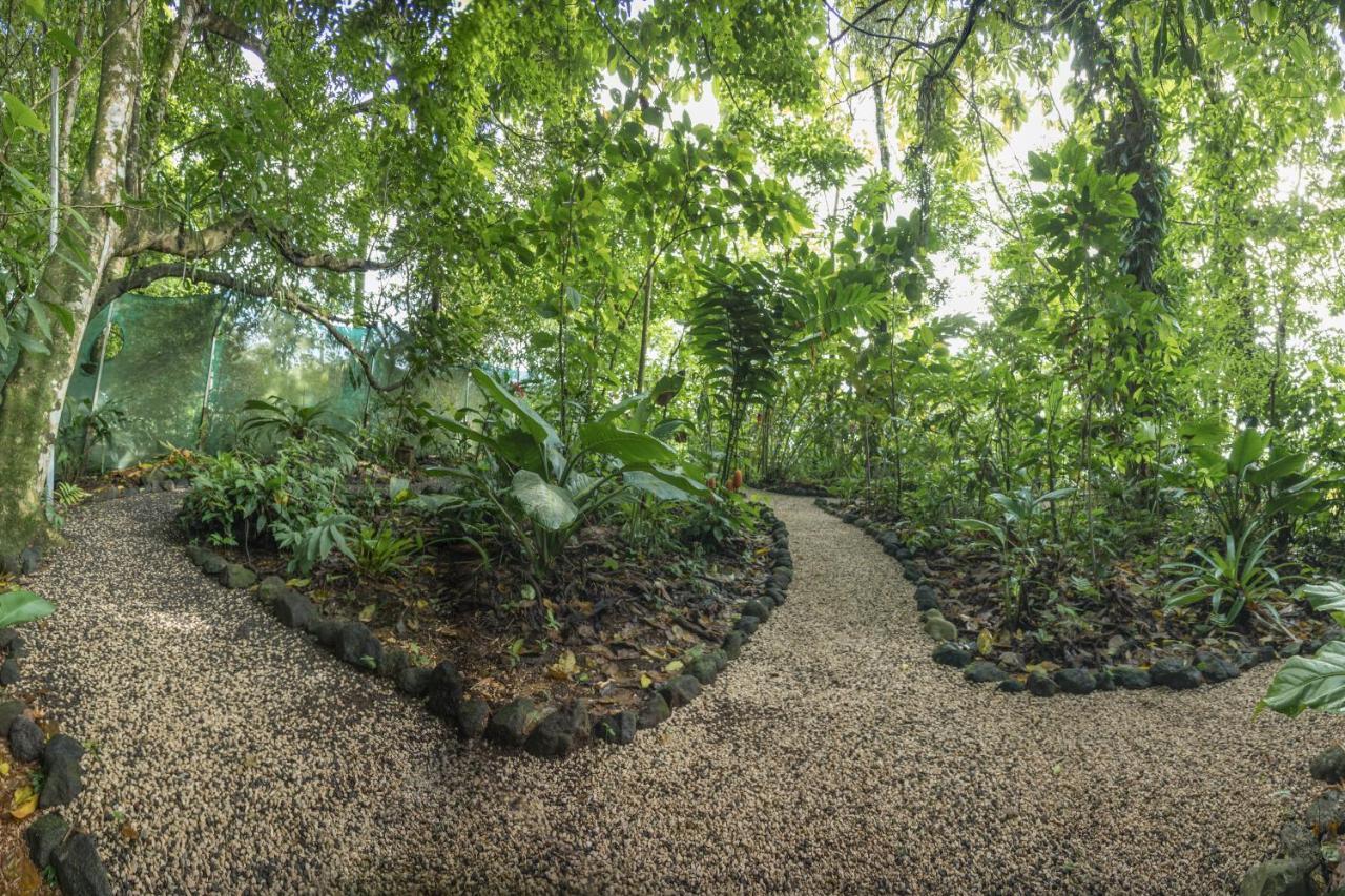 La Fortuna Cabanas Del Rio מראה חיצוני תמונה